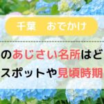 【2023】千葉のあじさい名所はどこ？最新穴場スポットや見頃時期も紹介