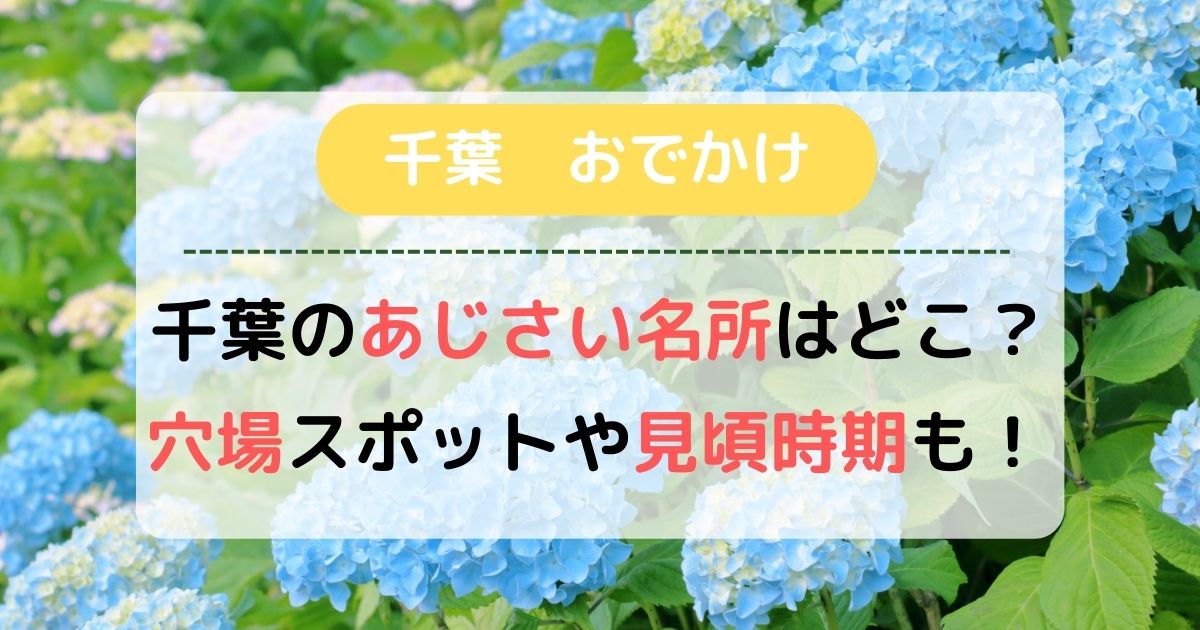 【2023】千葉のあじさい名所はどこ？最新穴場スポットや見頃時期も紹介