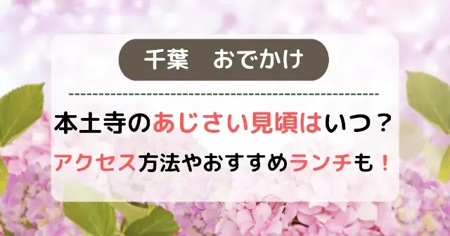 本土寺のあじさい見頃はいつ？