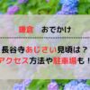 【2024最新】鎌倉長谷寺のあじさいの見頃はいつ？アクセス方法もご紹介！