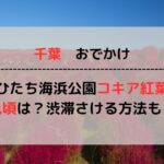 【2024最新】ひたち海浜公園のコキアの見頃はいつ？渋滞を避けるアクセス方法もご紹介！