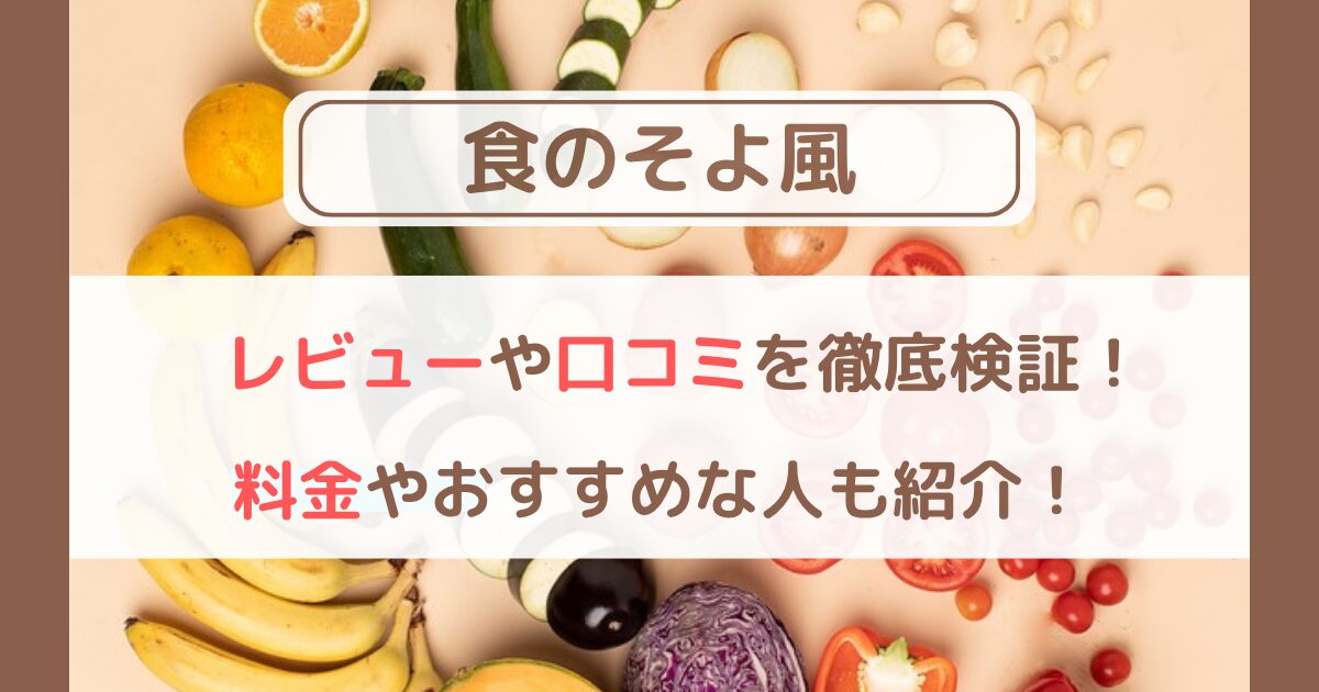 食のそよ風を実食レビュー！口コミや価格も徹底調査！