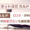 CALDO（カルド）の口コミ・評判を徹底検証！！特徴や料金プランも！